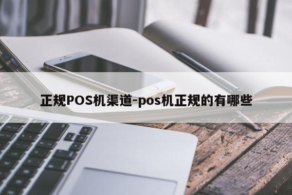 新巴尔虎右正规POS机渠道-pos机正规的有哪些